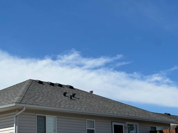 Best Flat Roofing  in Mcalester, OK